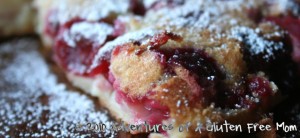 Gluten-Free Cherry Clofutis0
