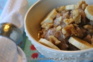 The Gluten-Free Diner Cookbook1